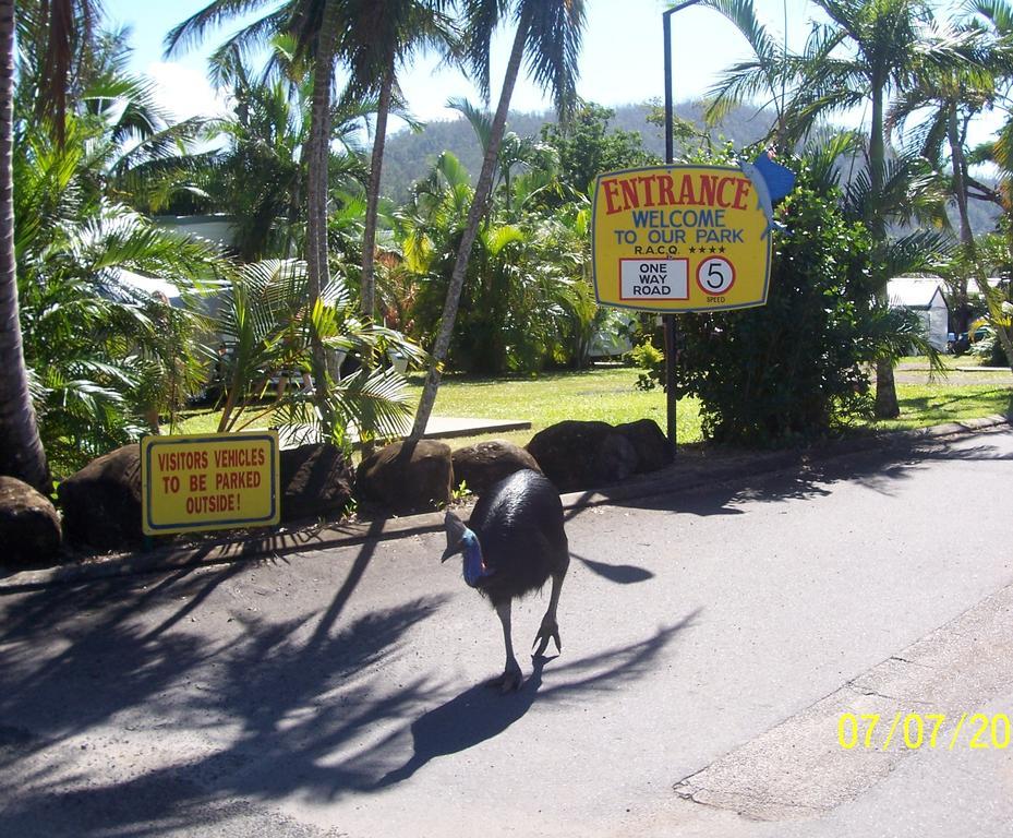 Hotel Flying Fish Point Tourist Park Innisfail Exterior foto